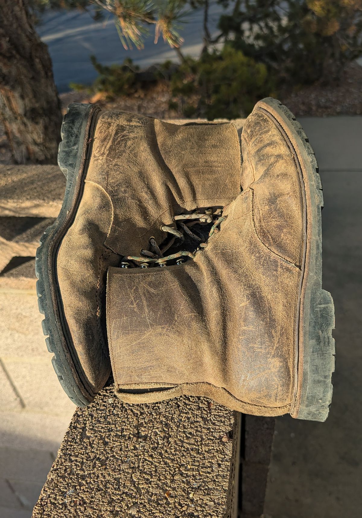 Photo by prospect_joe on January 31, 2026 of the Crockett & Jones Shannon in Crockett & Jones / Natural Rough Out Suede.