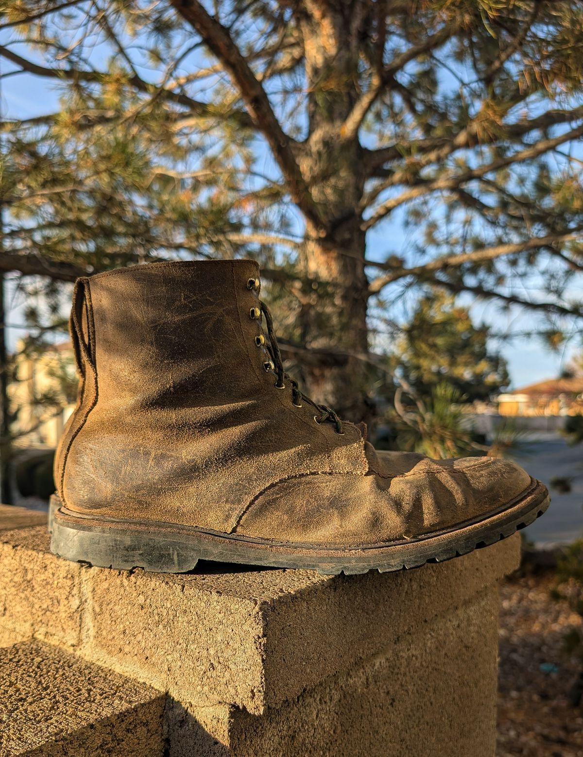 Photo by prospect_joe on January 31, 2026 of the Crockett & Jones Shannon in Crockett & Jones / Natural Rough Out Suede.
