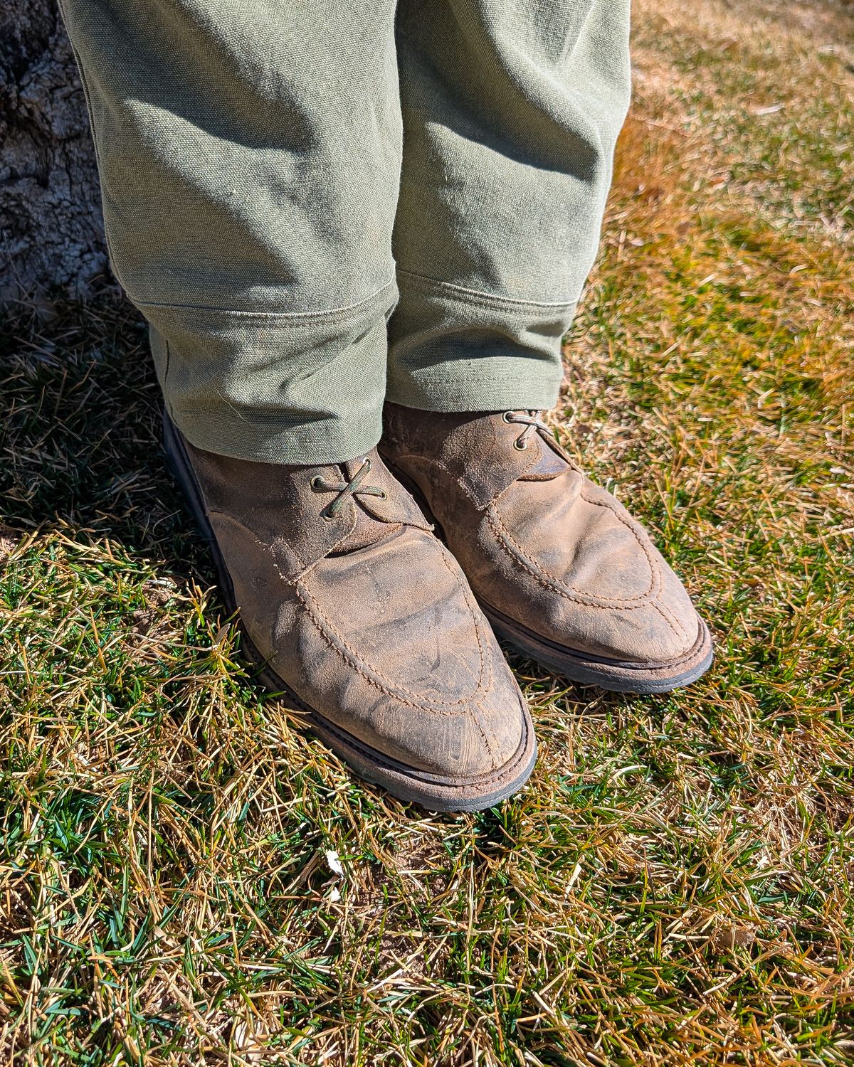 Photo by prospect_joe on March 7, 2026 of the Crockett & Jones Shannon in Crockett & Jones / Natural Rough Out Suede.