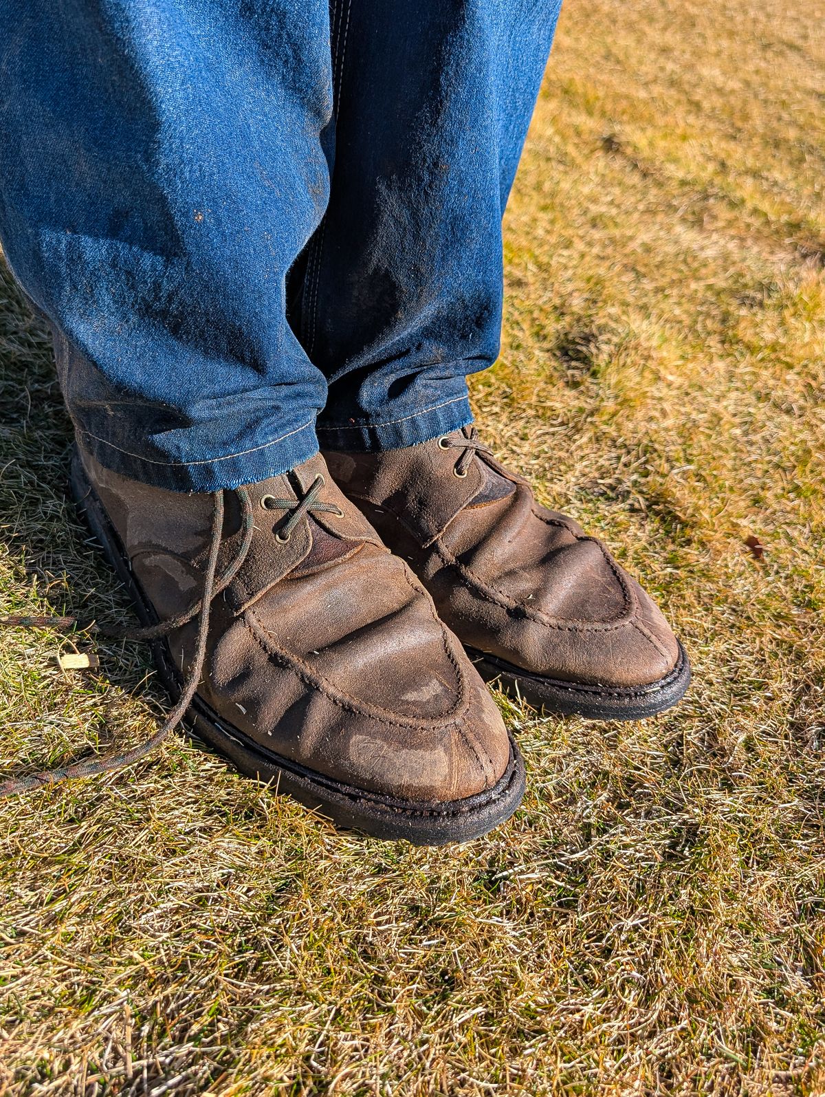Photo by prospect_joe on March 9, 2026 of the Crockett & Jones Shannon in Crockett & Jones / Natural Rough Out Suede.