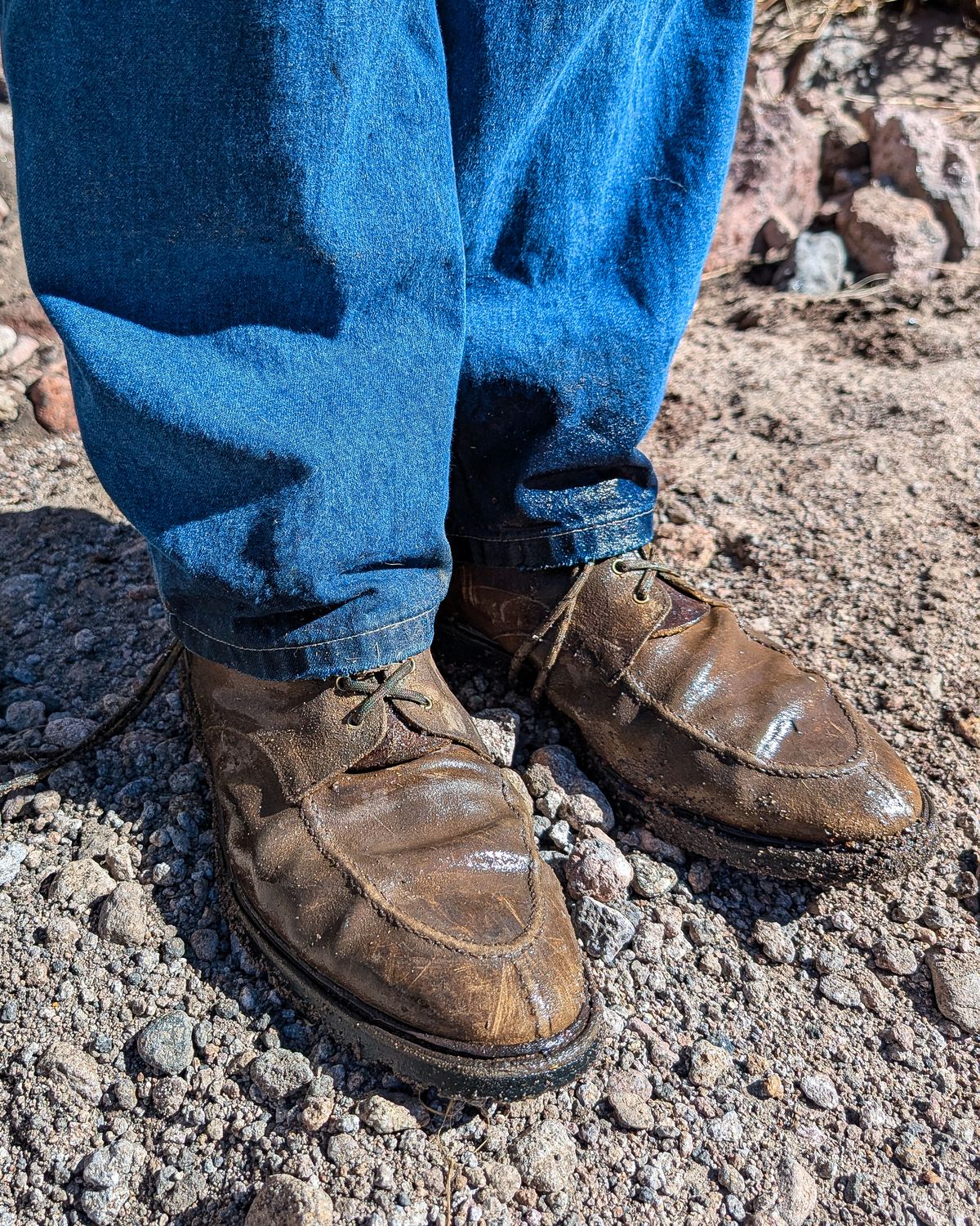 Photo by prospect_joe on March 9, 2026 of the Crockett & Jones Shannon in Crockett & Jones / Natural Rough Out Suede.