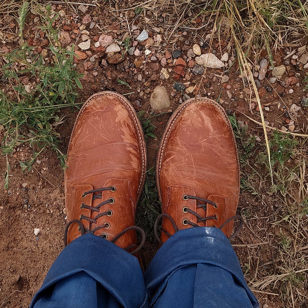 Photo by prospect_joe on August 13, 2023 of the Grant Stone Edward Boot in Incas Rust Kangaroo.