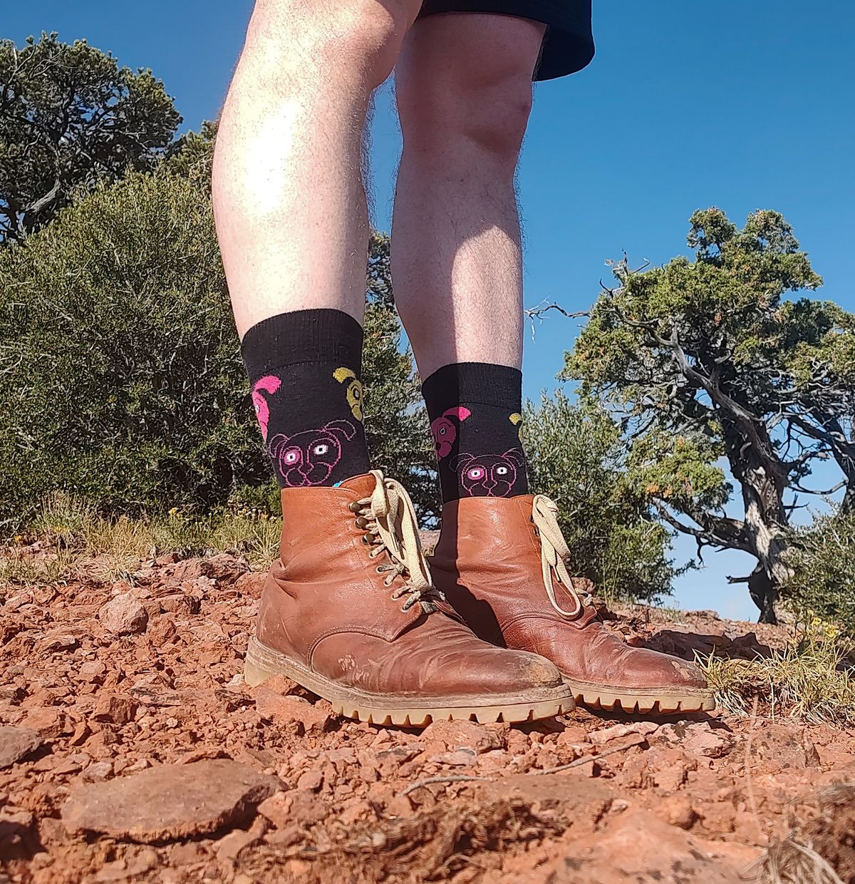 Photo by prospect_joe on August 10, 2024 of the Grant Stone Edward Boot in Incas Rust Kangaroo.