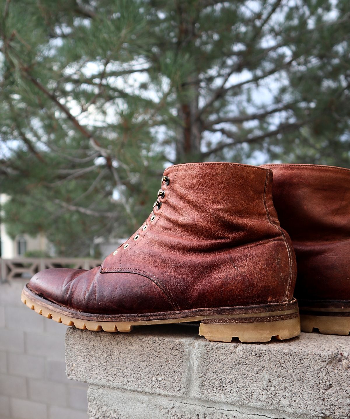 Photo by prospect_joe on September 1, 2024 of the Grant Stone Edward Boot in Incas Rust Kangaroo.