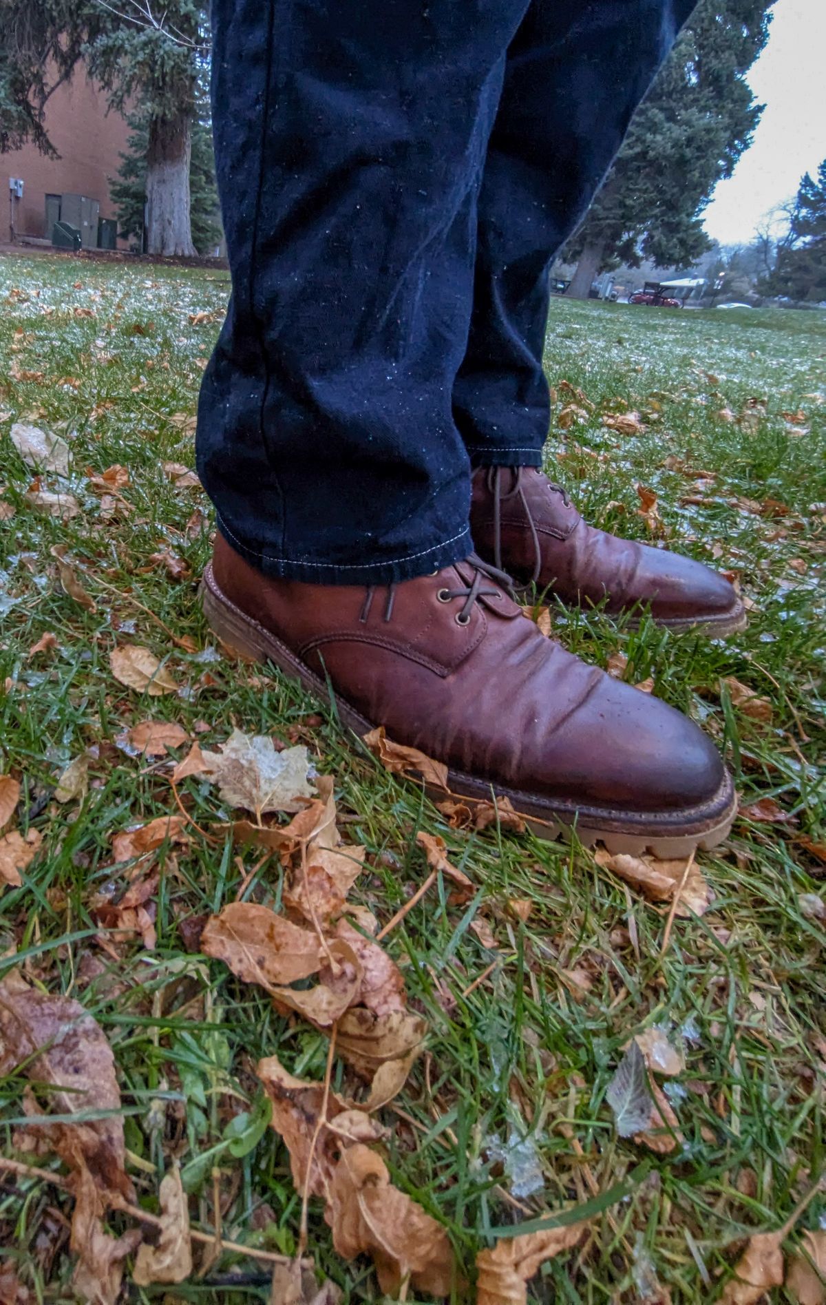 Photo by prospect_joe on November 12, 2024 of the Grant Stone Edward Boot in Incas Rust Kangaroo.