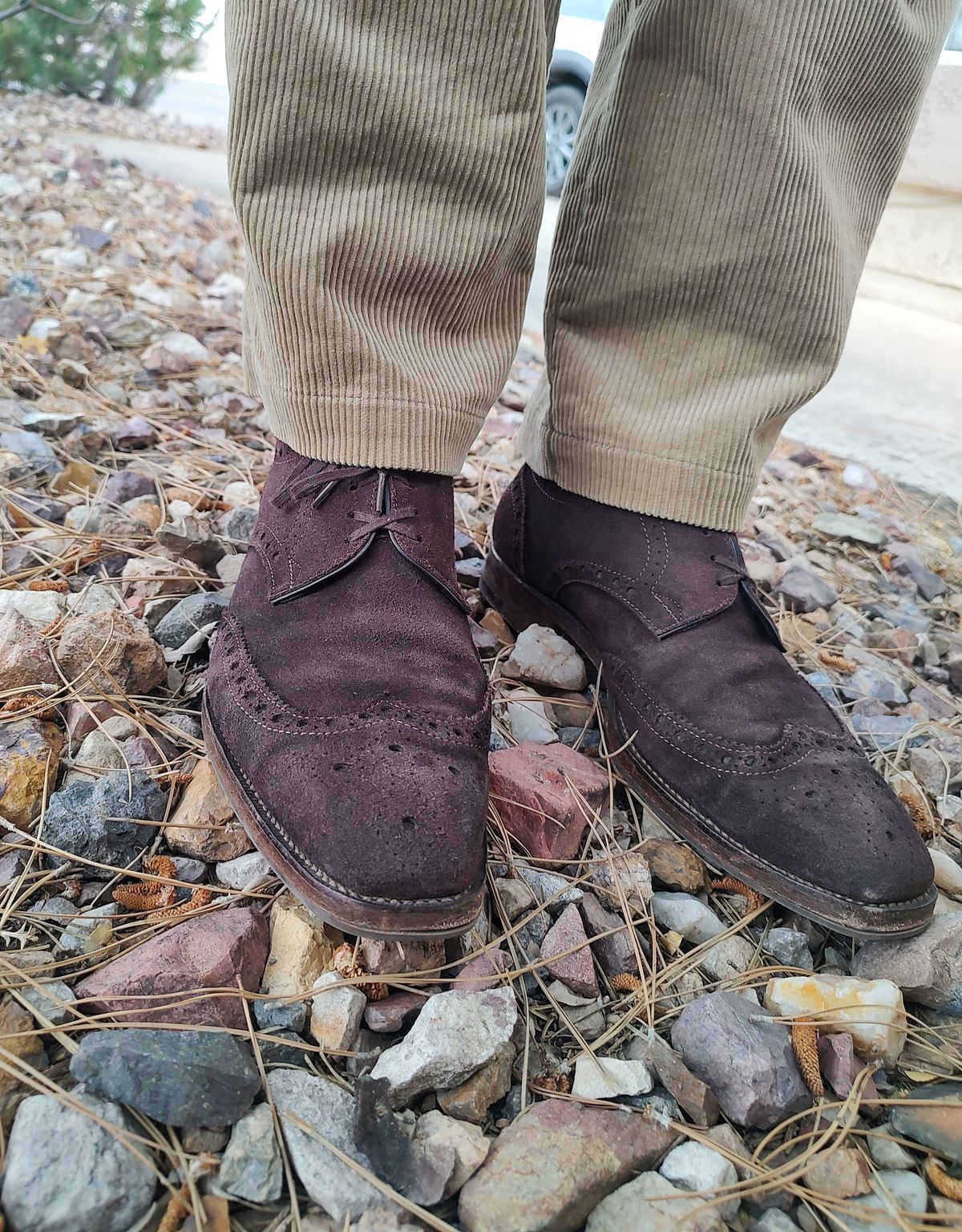 Photo by prospect_joe on August 2, 2024 of the The Last Shoemaker Boston in Brown Suede.