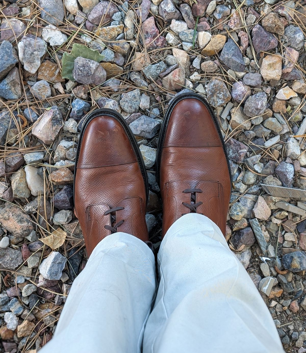 Photo by prospect_joe on July 8, 2025 of the Gaziano & Girling X Alfred Dunhill Alfred in Tanneries Haas Burgandy Leather.