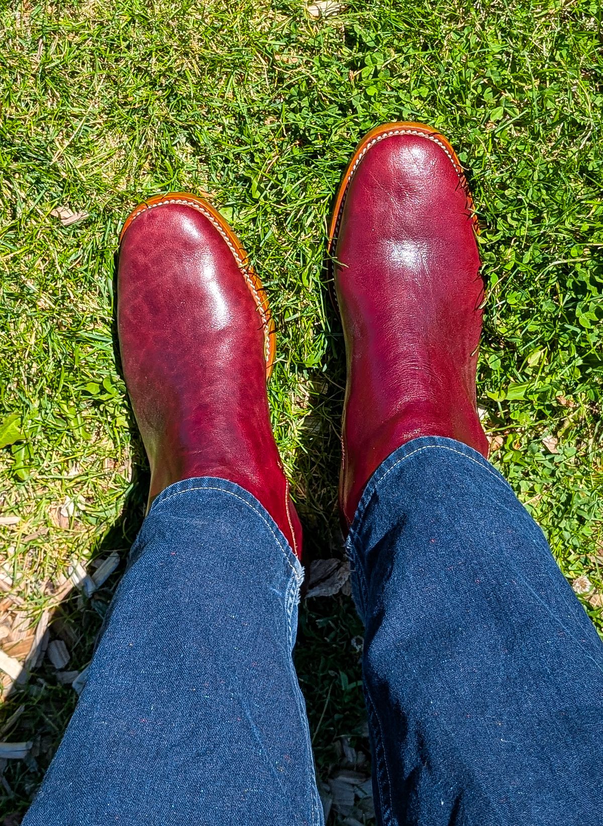 Photo by prospect_joe on August 2, 2025 of the Kiatokko Handmade Jodhpur in Wickett & Craig Burgundy Milled Traditional Harness.
