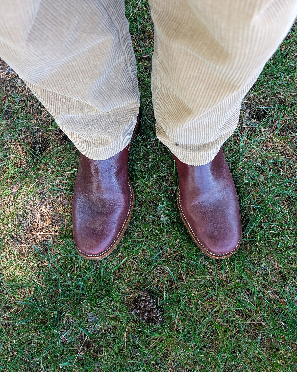 Photo by prospect_joe on June 18, 2026 of the Kiatokko Handmade Jodhpur in Wickett & Craig Burgundy Milled Traditional Harness.