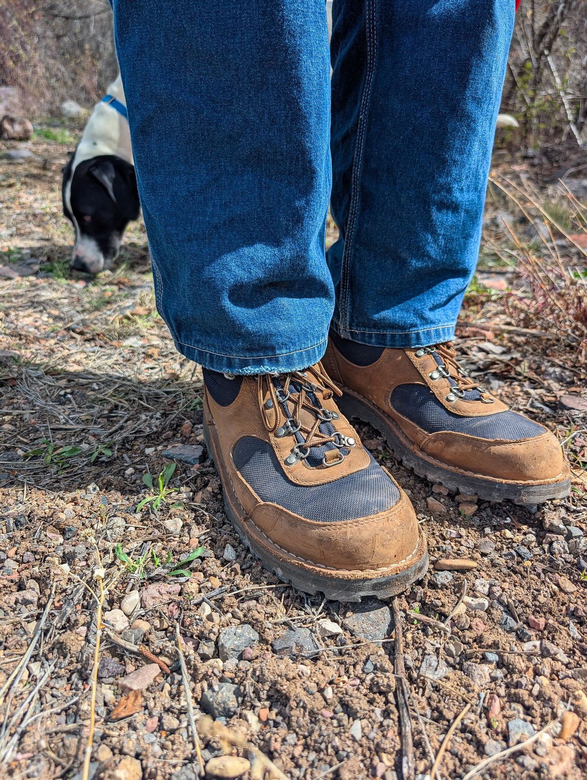 Photo by prospect_joe on April 20, 2026 of the Danner Cascade Crest in grizzly brown & ursa blue.