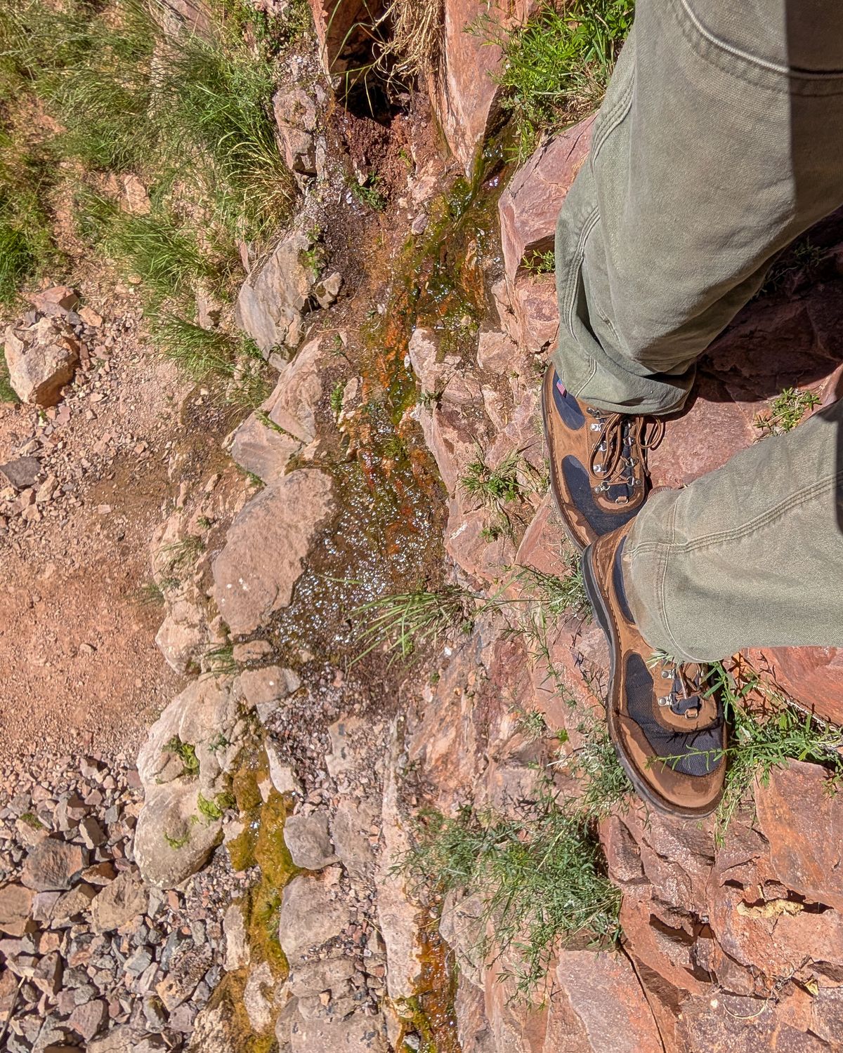 Photo by prospect_joe on July 4, 2026 of the Danner Cascade Crest in grizzly brown & ursa blue.
