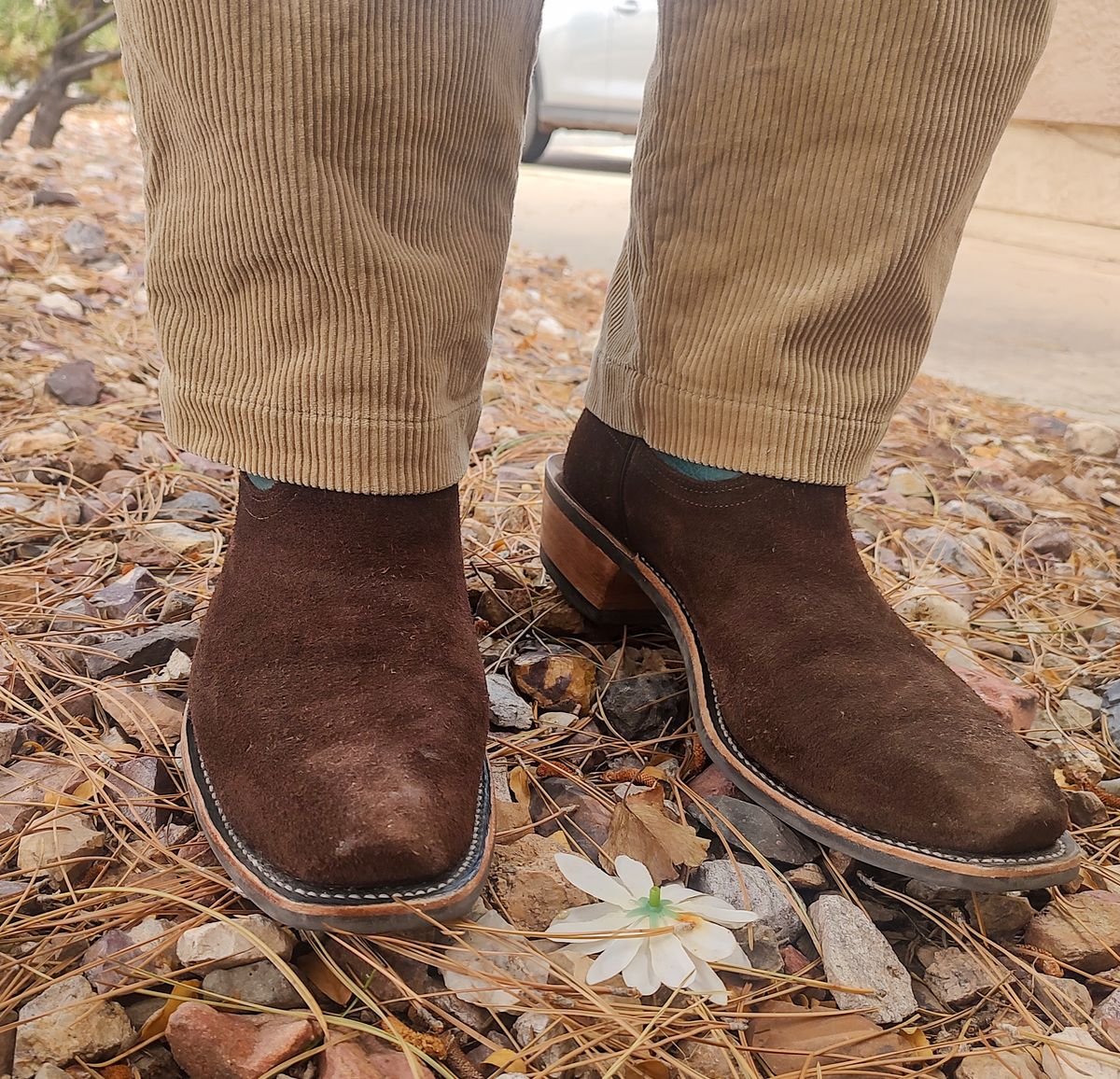 Photo by prospect_joe on September 16, 2024 of the Fenoglio South Texas Tack Exclusive in Nicotine Roughout With Distressed Turquoise.