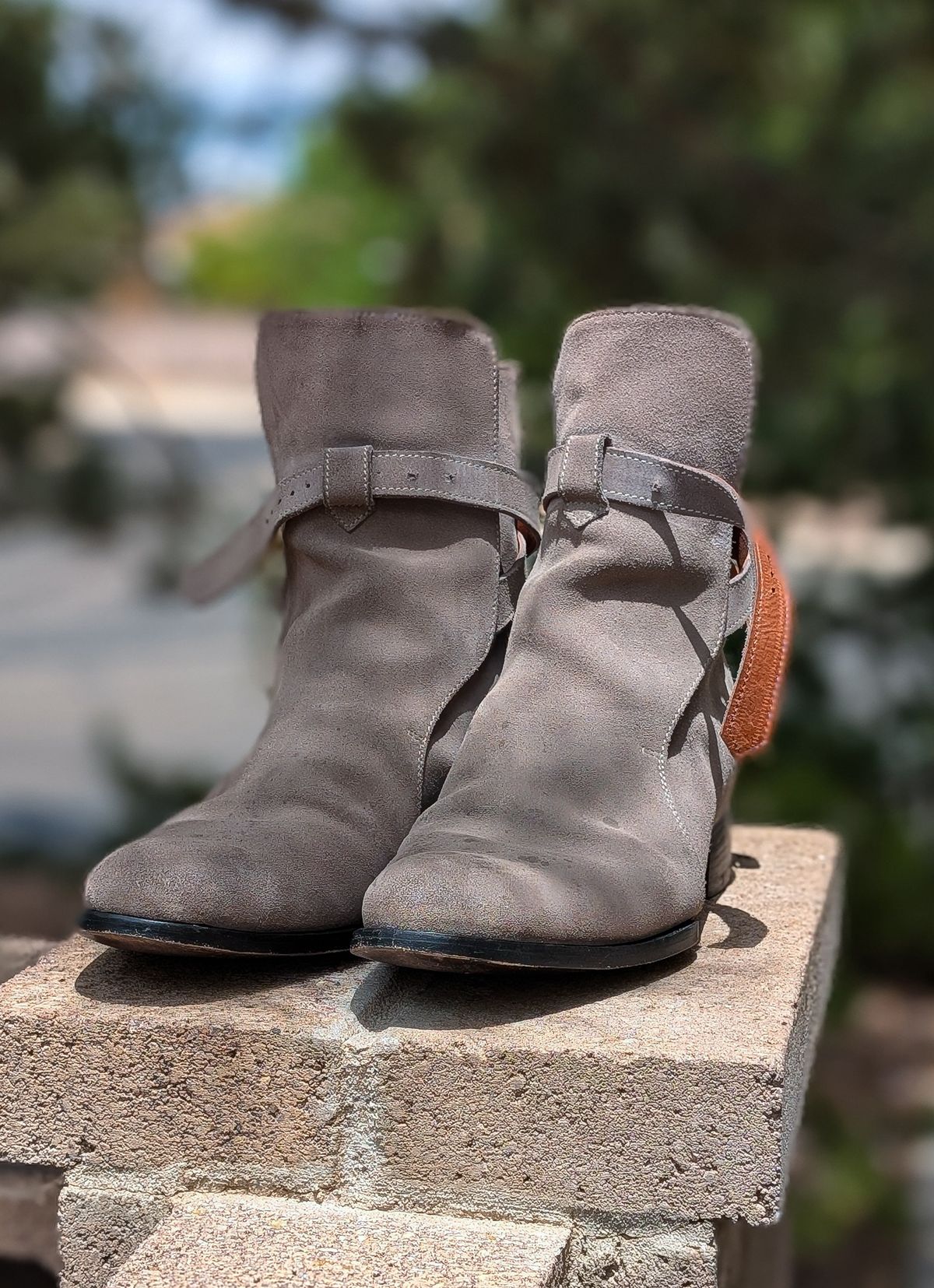 Photo by prospect_joe on July 21, 2025 of the The Last Shoemaker Jodhpur in Grey Suede.