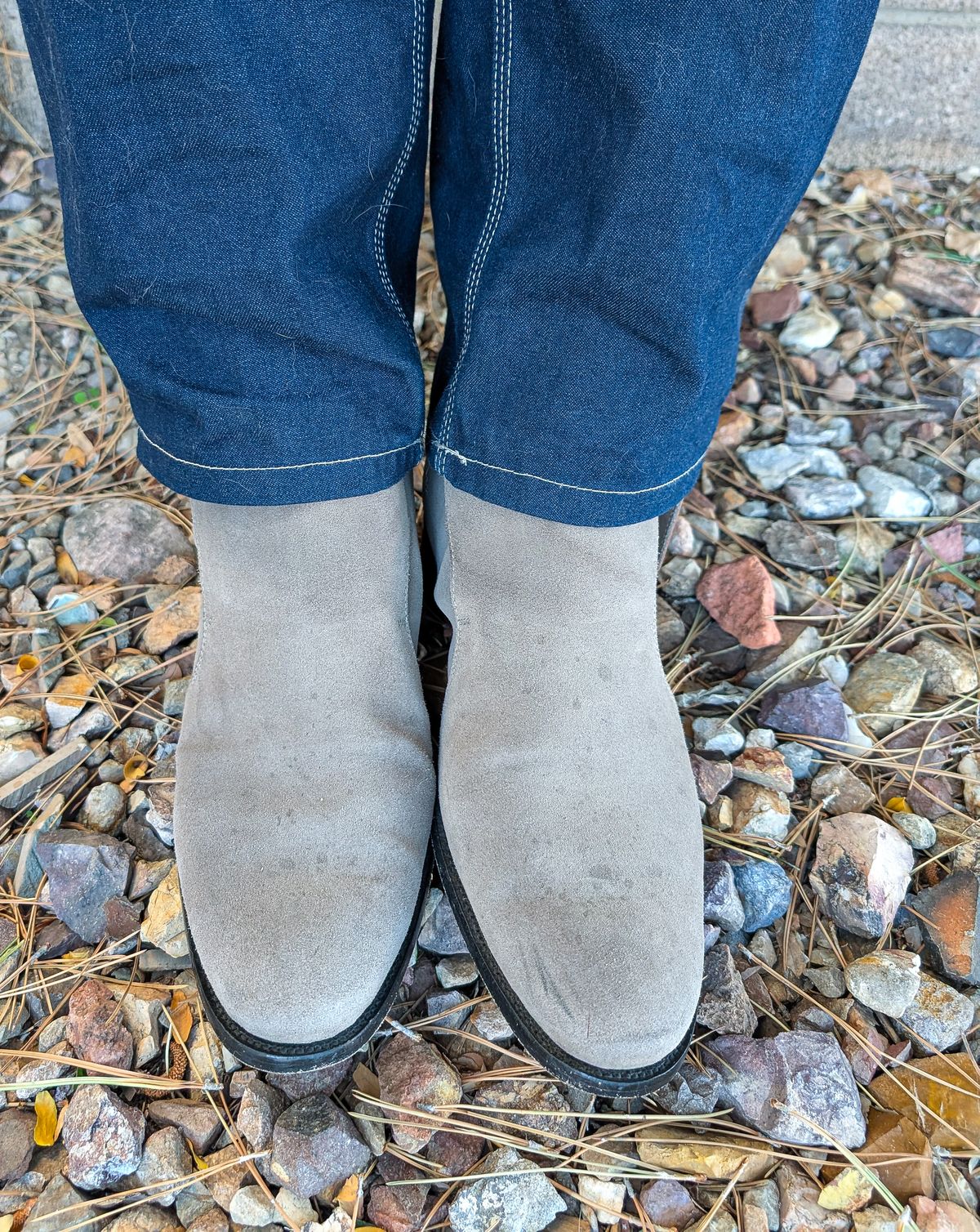 Photo by prospect_joe on September 13, 2025 of the The Last Shoemaker Jodhpur in Grey Suede.