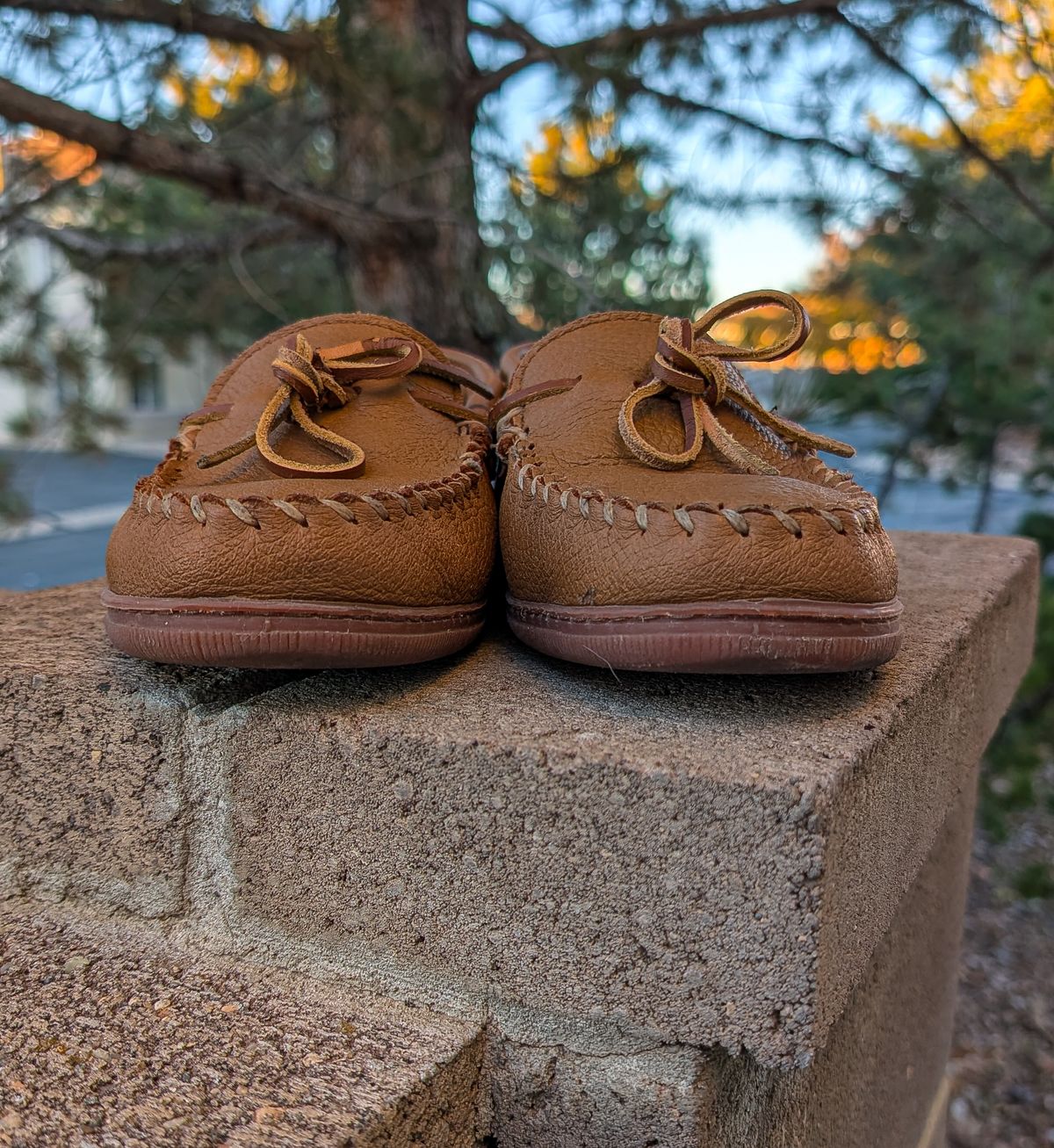 Photo by prospect_joe on November 2, 2025 of the Minnetonka Classic Moccasin in Natural Moosehide.