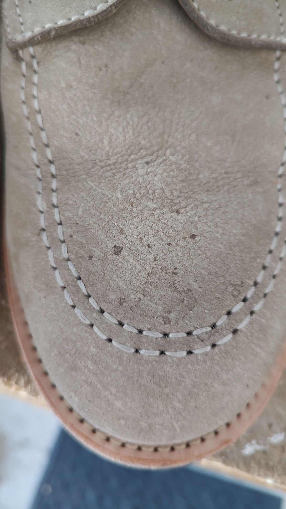 Photo by prospect_joe on April 24, 2024 of the Quan Shoemaker Moc Toe in Canvas Kudu.