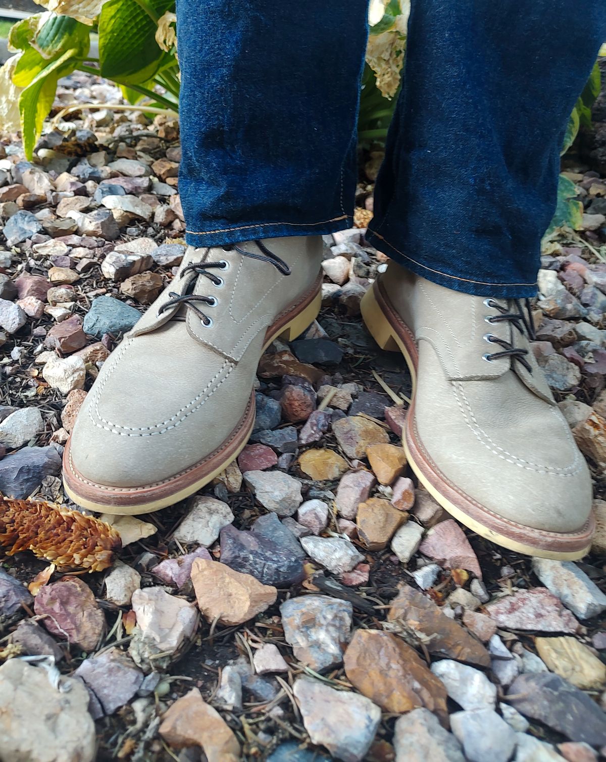 Photo by prospect_joe on August 30, 2024 of the Quan Shoemaker Moc Toe in Canvas Kudu.