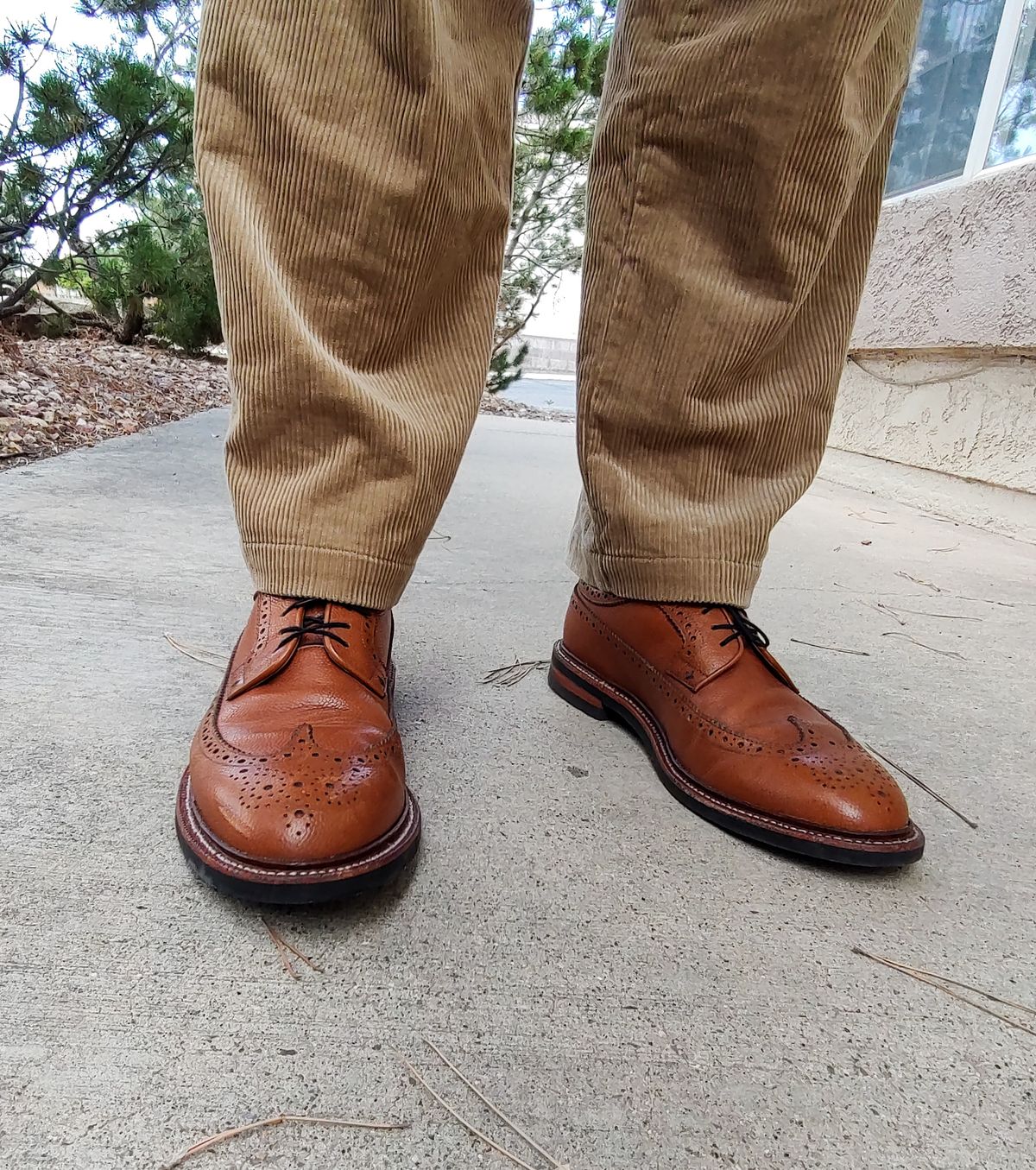 Photo by prospect_joe on July 22, 2024 of the Grant Stone Longwing in Horween Brown Pebble Grain.