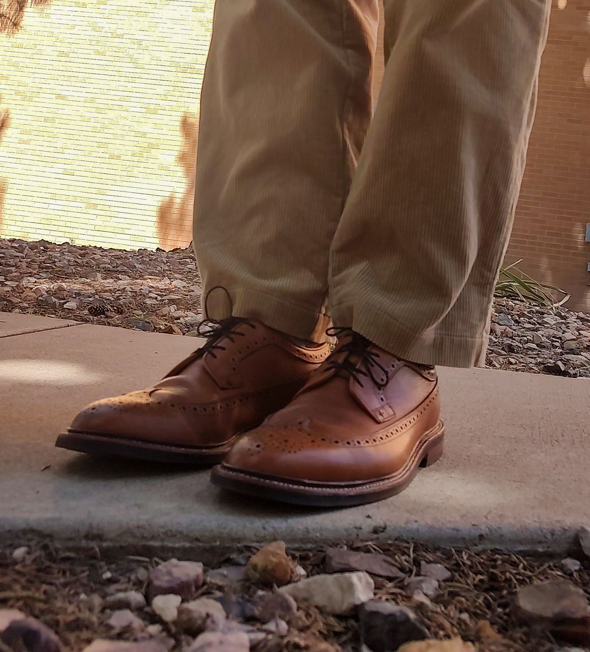 Photo by prospect_joe on July 29, 2024 of the Grant Stone Longwing in Horween Brown Pebble Grain.