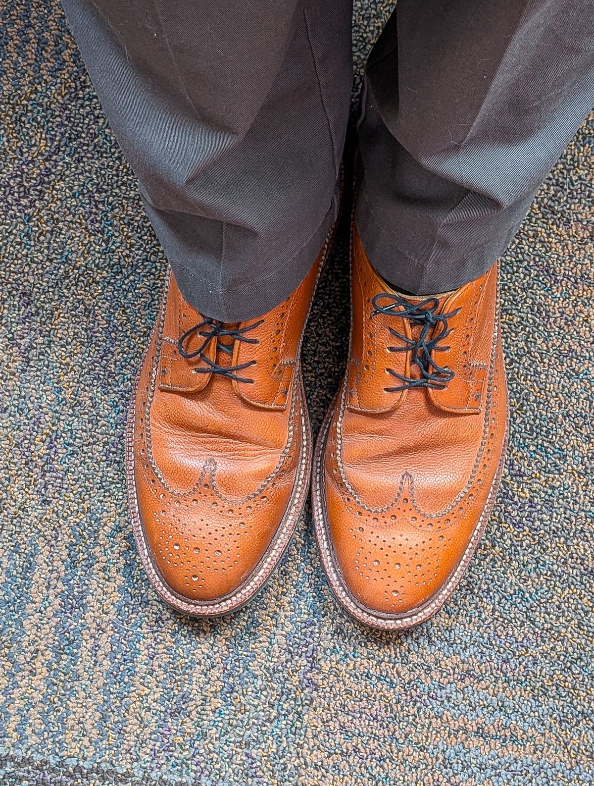Photo by prospect_joe on August 22, 2025 of the Grant Stone Longwing in Horween Brown Pebble Grain.
