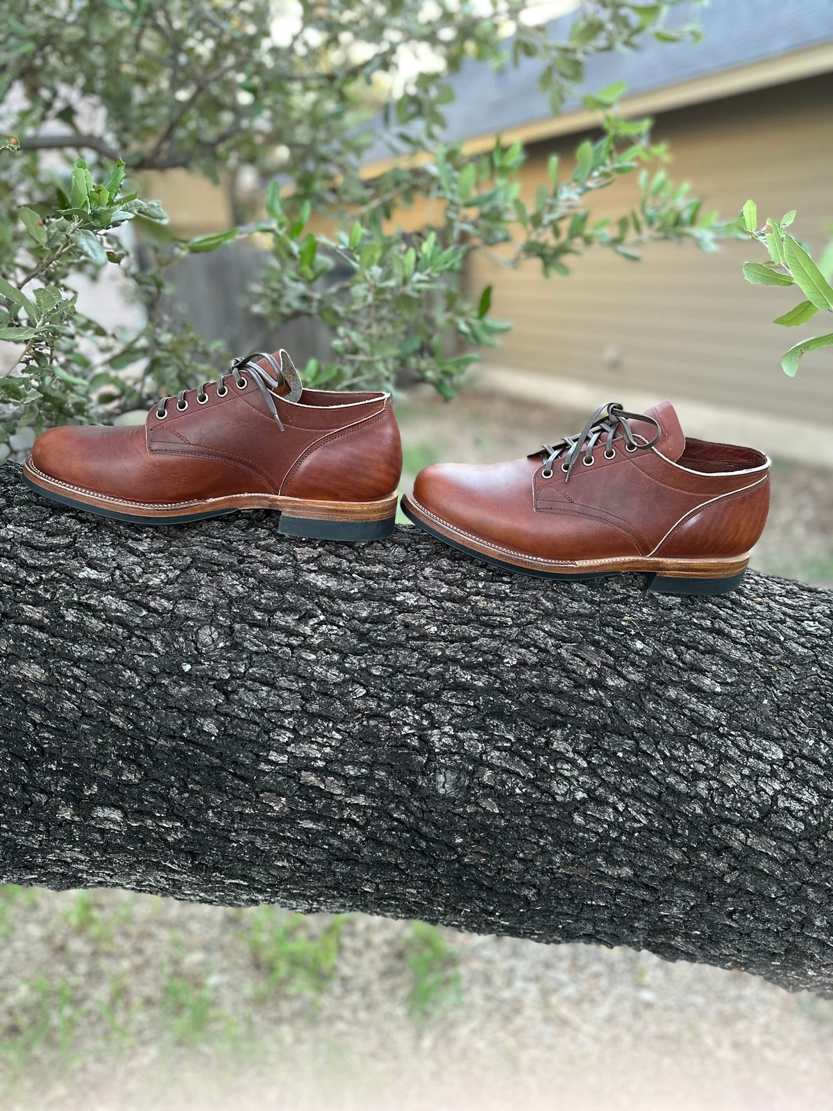 Photo by sononchalant on October 1, 2022 of the Viberg 145 Oxford in Horween Saddle Tan Chromepak.