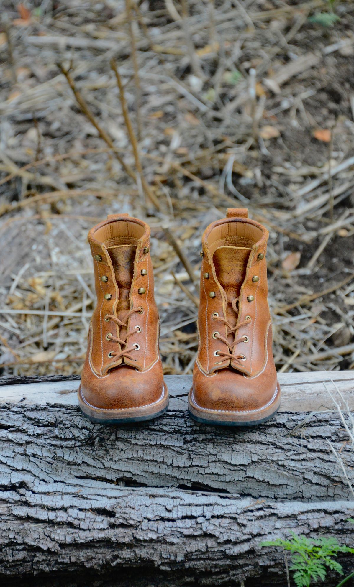 Photo by Eddie on November 5, 2022 of the Txture Sanity Boots in C.F. Stead Coach Crazy Cow.