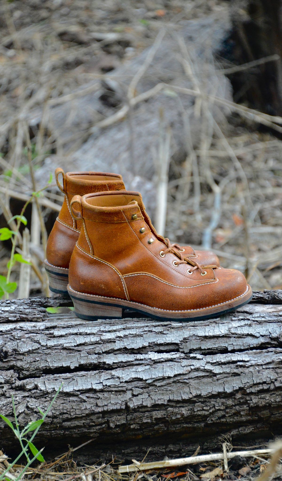 Photo by Eddie on November 5, 2022 of the Txture Sanity Boots in C.F. Stead Coach Crazy Cow.