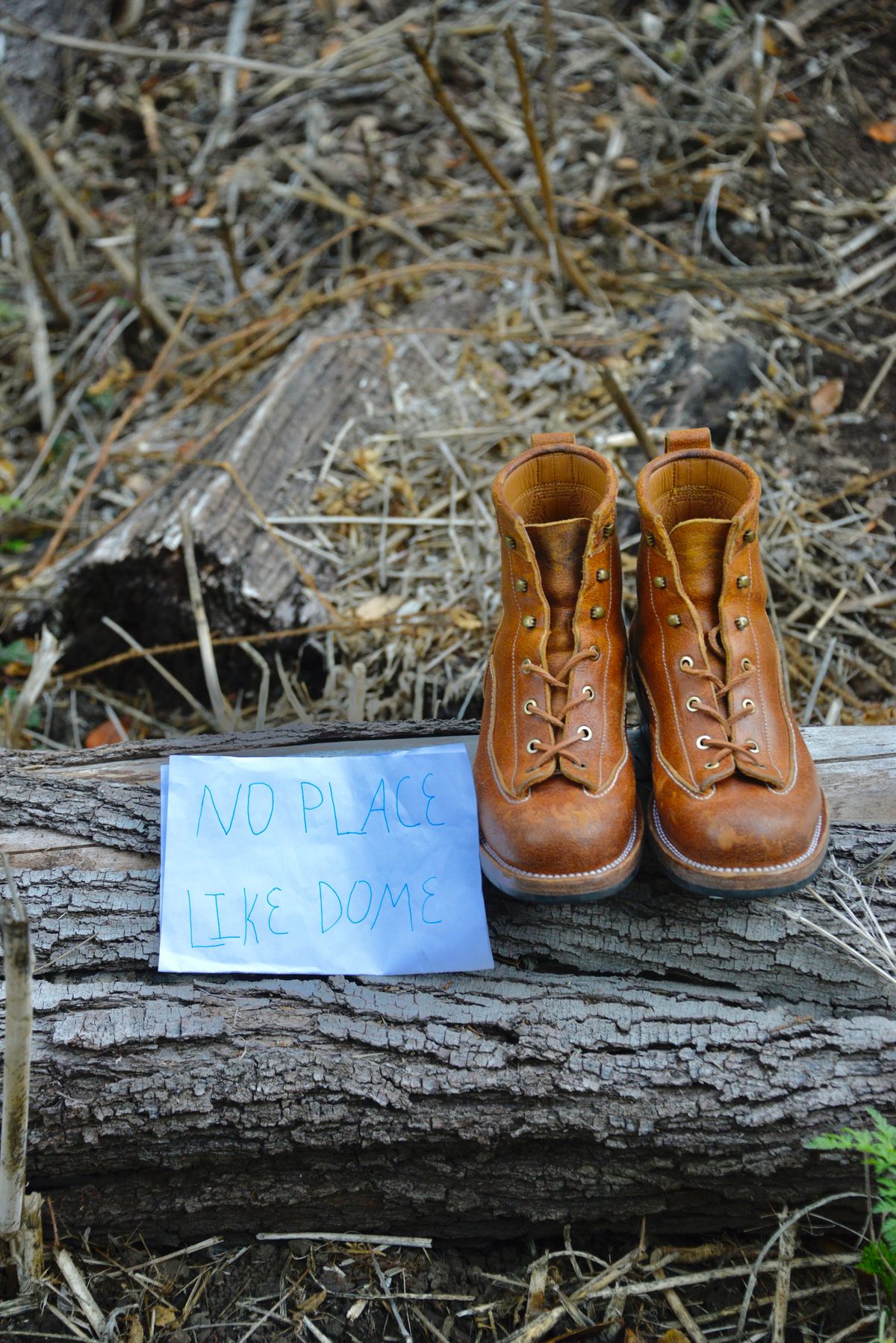 Photo by Eddie on November 5, 2022 of the Txture Sanity Boots in C.F. Stead Coach Crazy Cow.