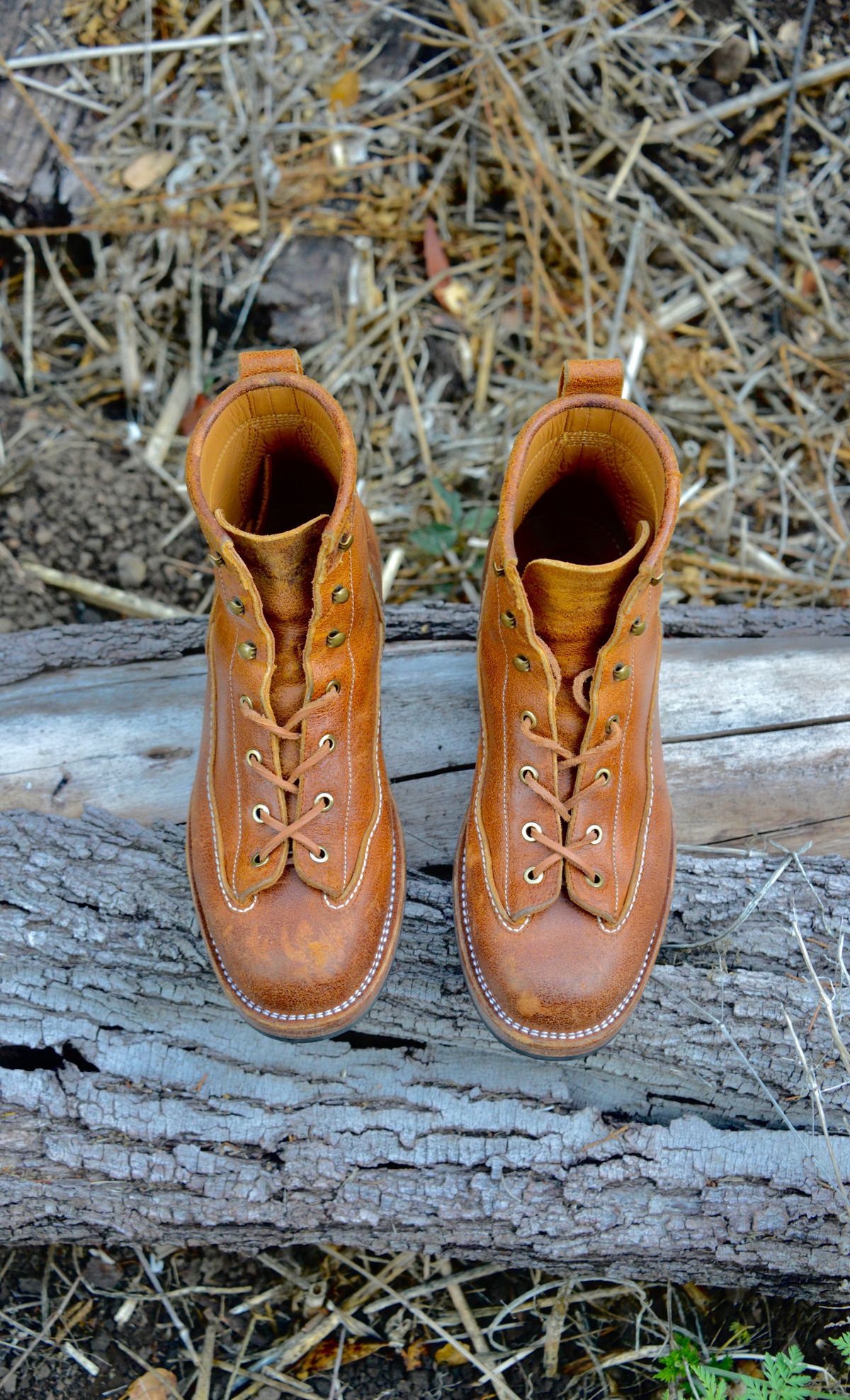 Photo by Eddie on November 5, 2022 of the Txture Sanity Boots in C.F. Stead Coach Crazy Cow.