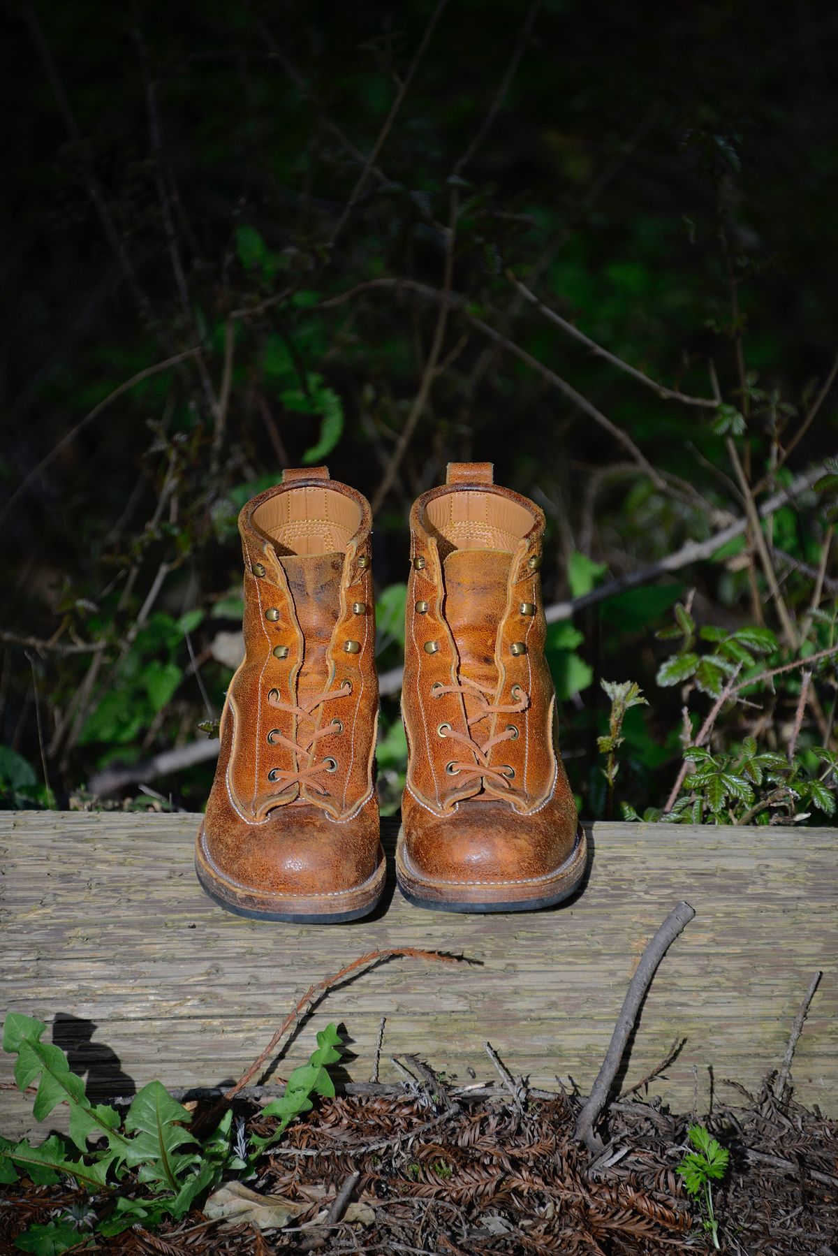 Photo by Eddie on April 5, 2023 of the Txture Sanity Boots in C.F. Stead Coach Crazy Cow.