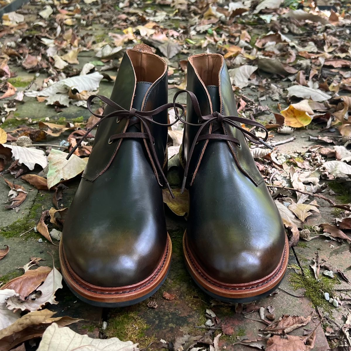 Photo by mreams99 on October 2, 2025 of the Allen Edmonds Chandler in Allen Edmonds / Antique Hickory.