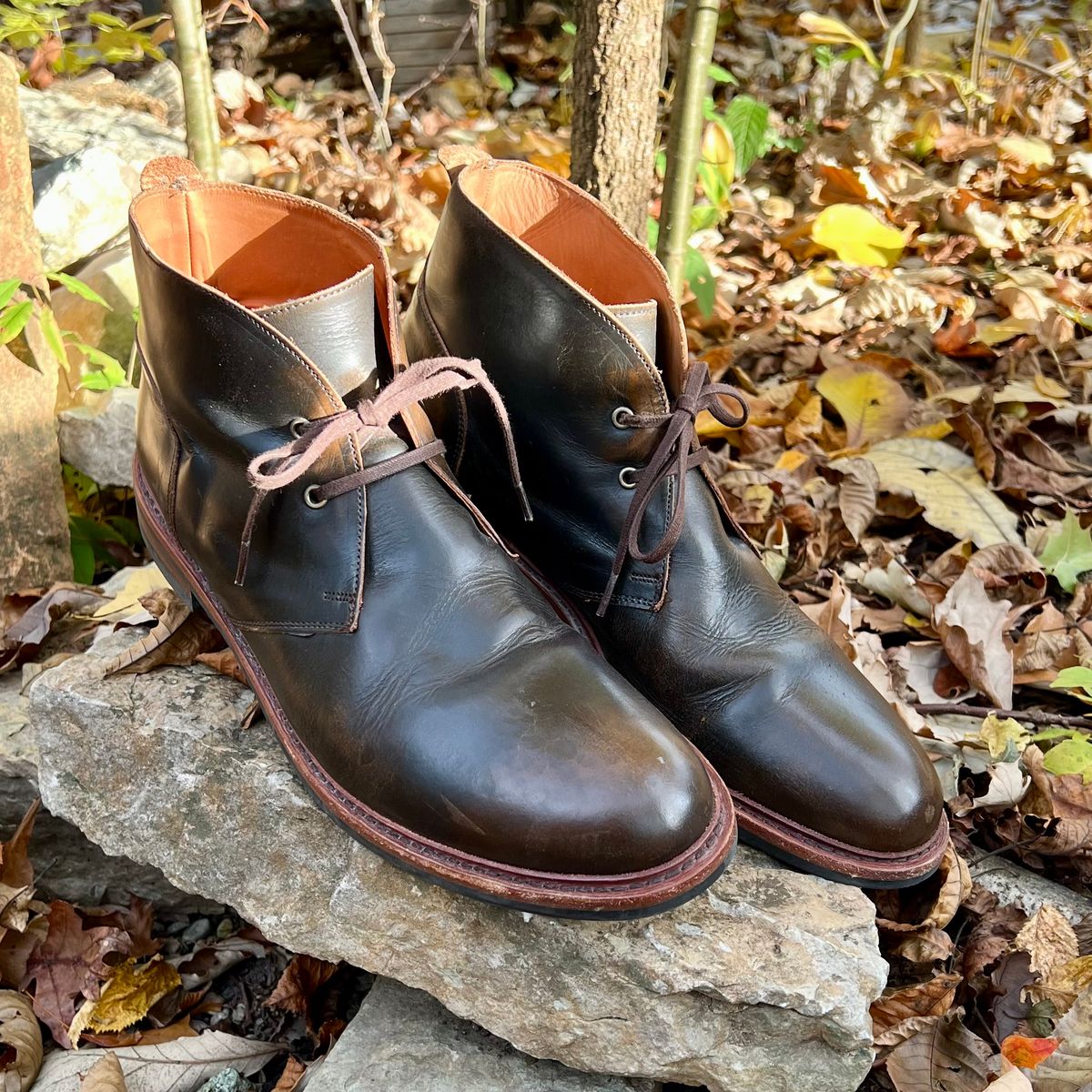 Photo by mreams99 on November 5, 2025 of the Allen Edmonds Chandler in Allen Edmonds / Antique Hickory.