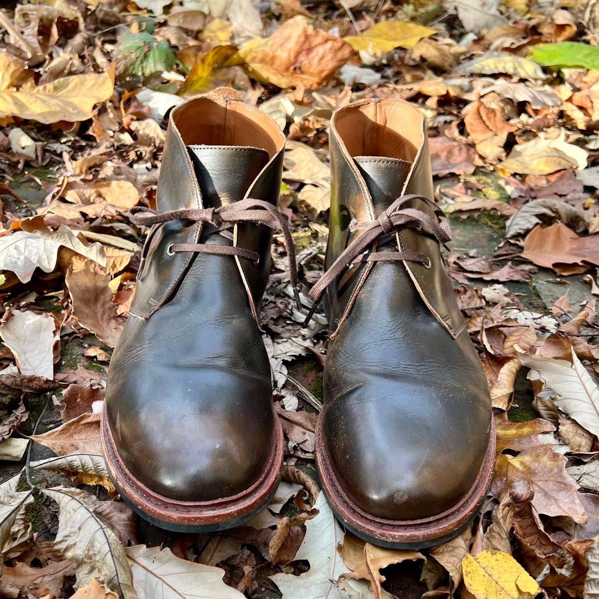 Photo by mreams99 on November 5, 2025 of the Allen Edmonds Chandler in Allen Edmonds / Antique Hickory.