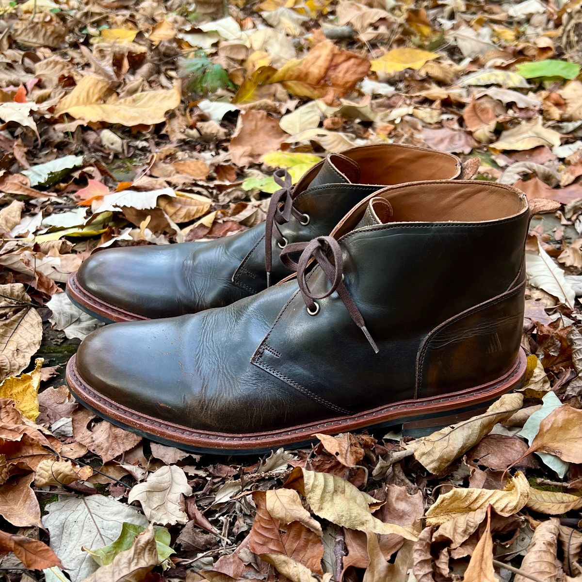 Photo by mreams99 on November 5, 2025 of the Allen Edmonds Chandler in Allen Edmonds / Antique Hickory.