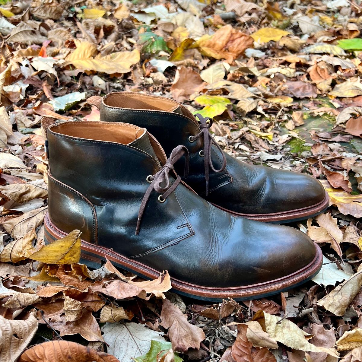 Photo by mreams99 on November 5, 2025 of the Allen Edmonds Chandler in Allen Edmonds / Antique Hickory.