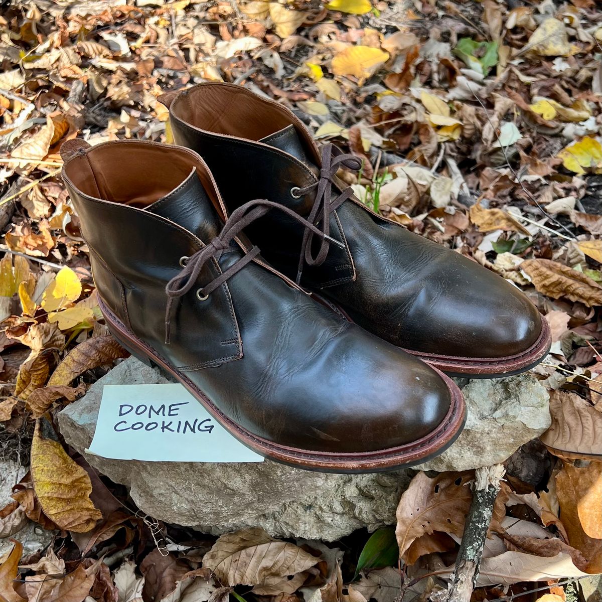 Photo by mreams99 on November 5, 2025 of the Allen Edmonds Chandler in Allen Edmonds / Antique Hickory.