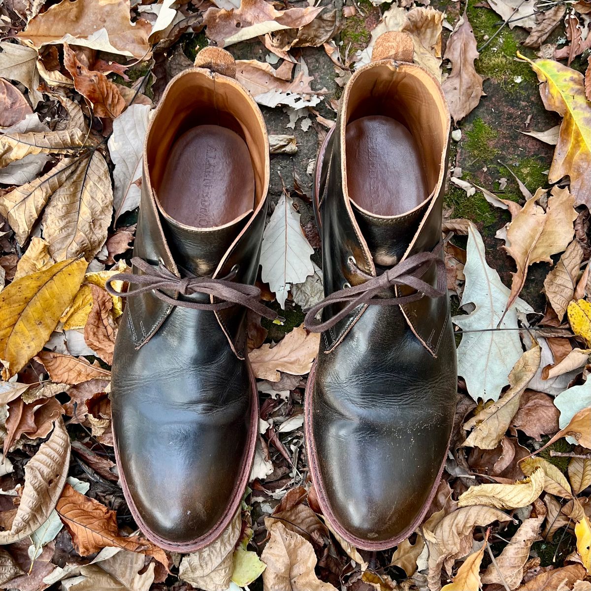 Photo by mreams99 on November 5, 2025 of the Allen Edmonds Chandler in Allen Edmonds / Antique Hickory.