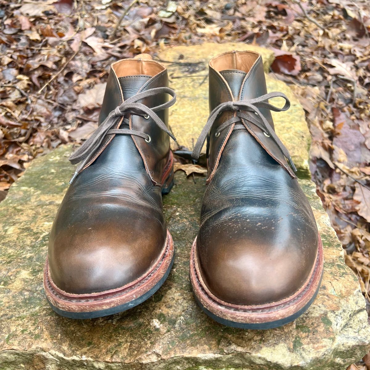 Photo by mreams99 on March 5, 2026 of the Allen Edmonds Chandler in Allen Edmonds / Antique Hickory.
