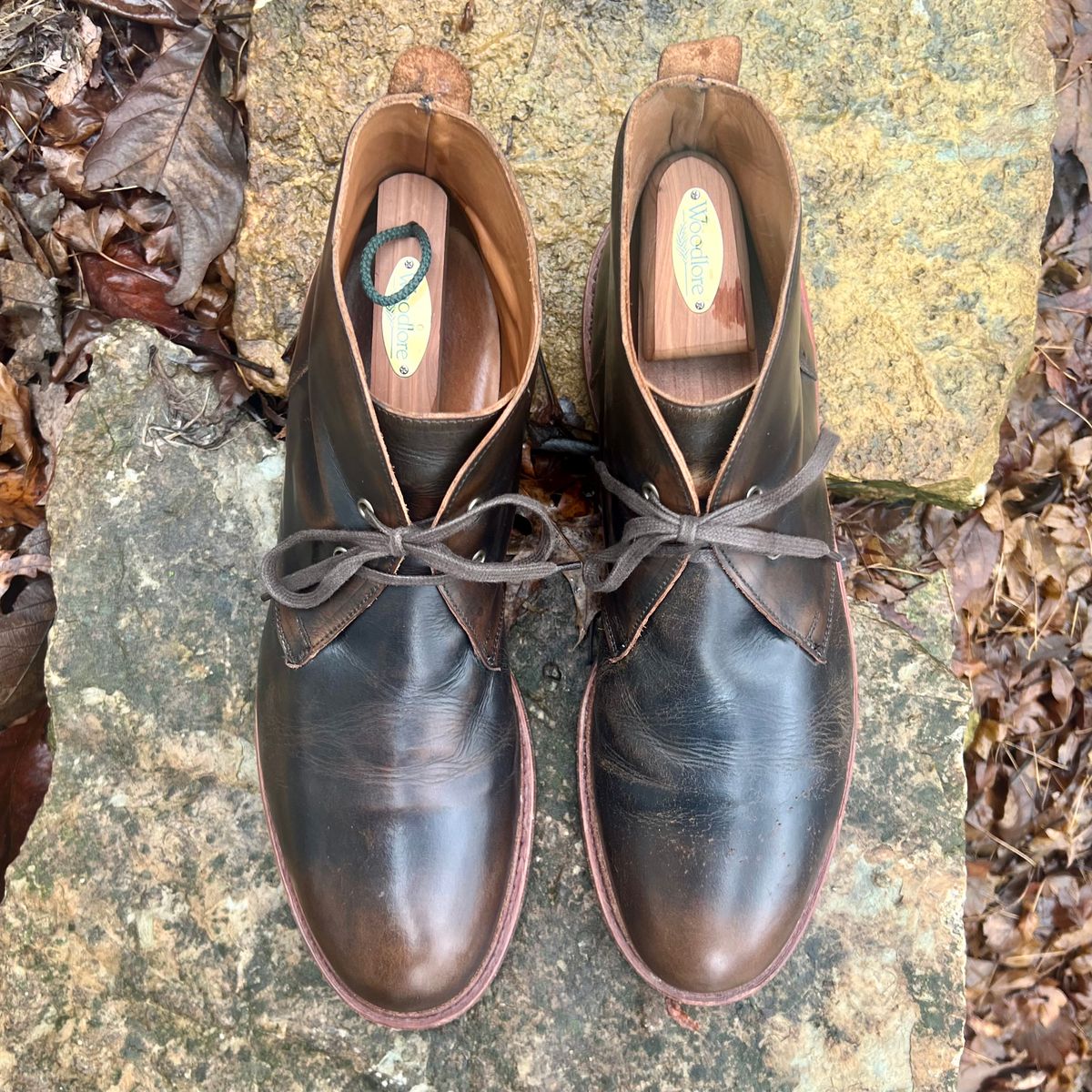 Photo by mreams99 on March 5, 2026 of the Allen Edmonds Chandler in Allen Edmonds / Antique Hickory.