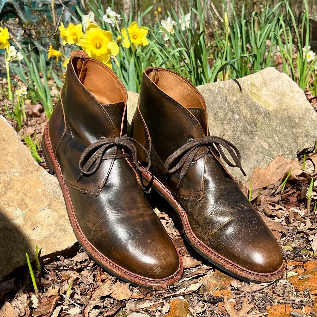 Photo by mreams99 on April 4, 2026 of the Allen Edmonds Chandler in Allen Edmonds / Antique Hickory.