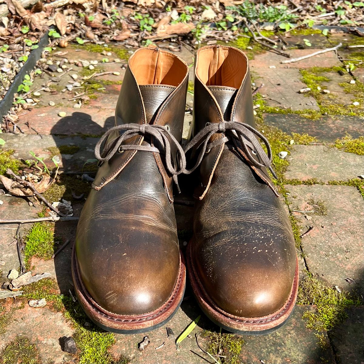 Photo by mreams99 on April 4, 2026 of the Allen Edmonds Chandler in Allen Edmonds / Antique Hickory.