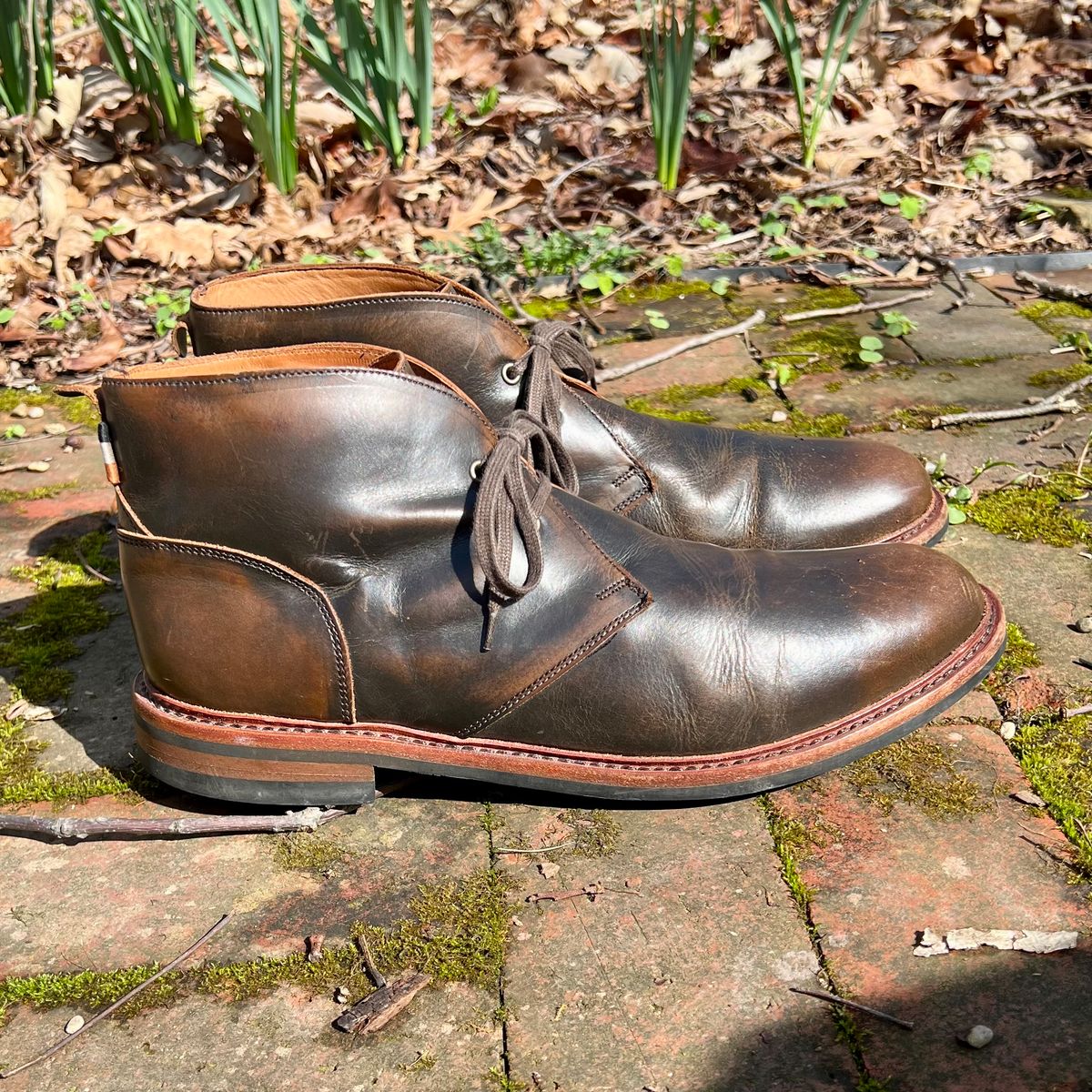 Photo by mreams99 on April 4, 2026 of the Allen Edmonds Chandler in Allen Edmonds / Antique Hickory.
