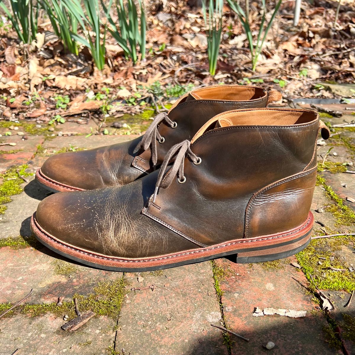 Photo by mreams99 on April 4, 2026 of the Allen Edmonds Chandler in Allen Edmonds / Antique Hickory.