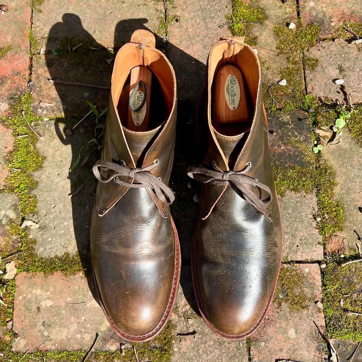 Photo by mreams99 on April 4, 2026 of the Allen Edmonds Chandler in Allen Edmonds / Antique Hickory.