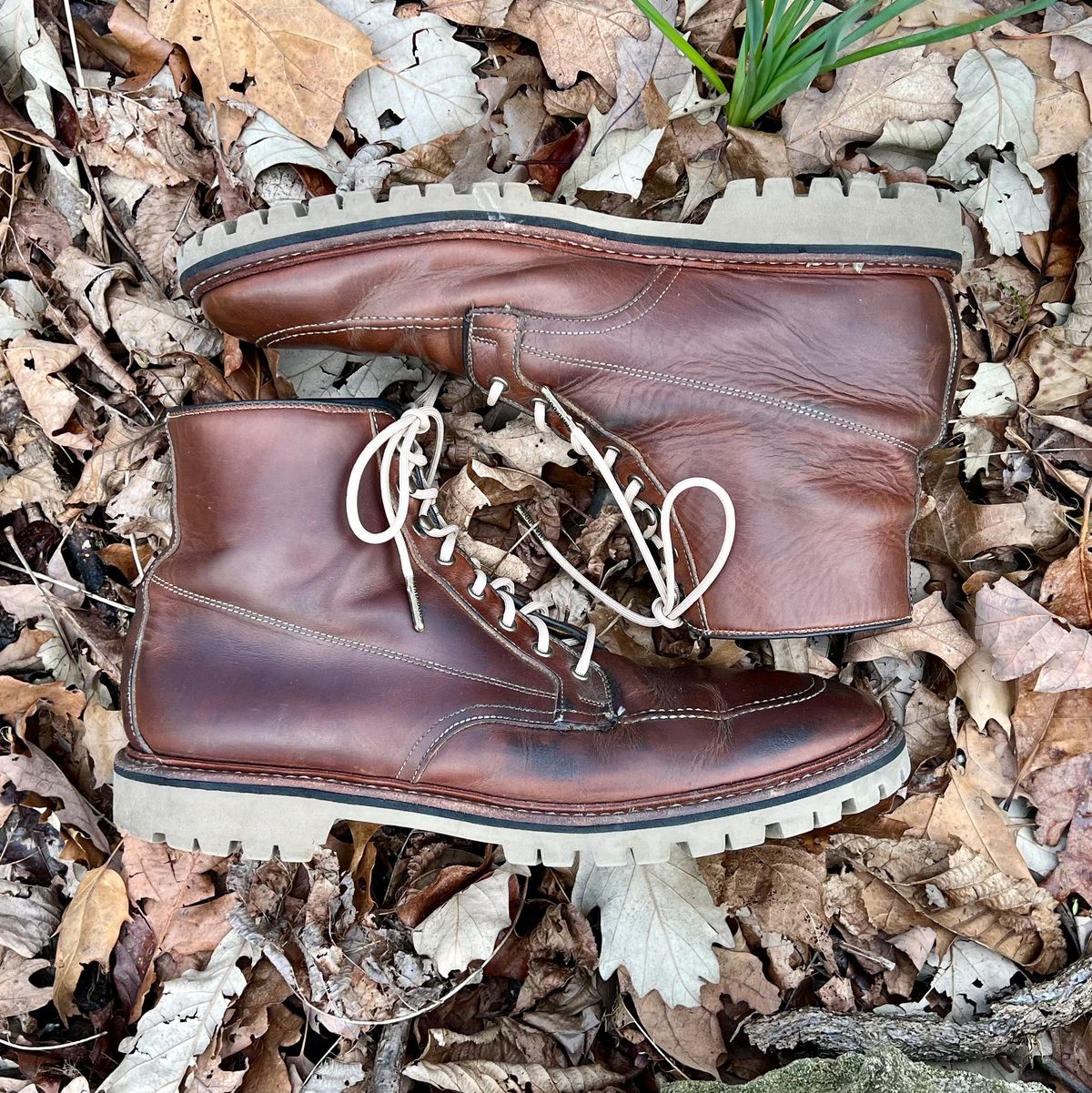 Photo by mreams99 on April 5, 2024 of the Allen Edmonds Freeport in Horween Natural Chromexcel.