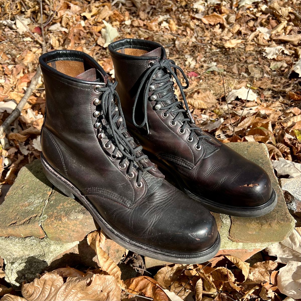 Photo by mreams99 on November 5, 2024 of the Red Wing 953 in Velva Boomer.