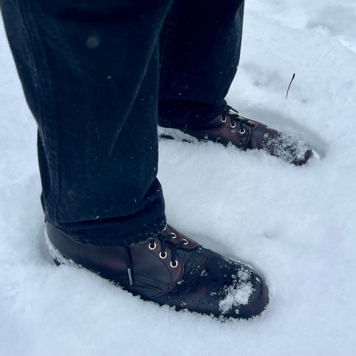 Photo by mreams99 on February 21, 2025 of the Red Wing 953 in Velva Boomer.