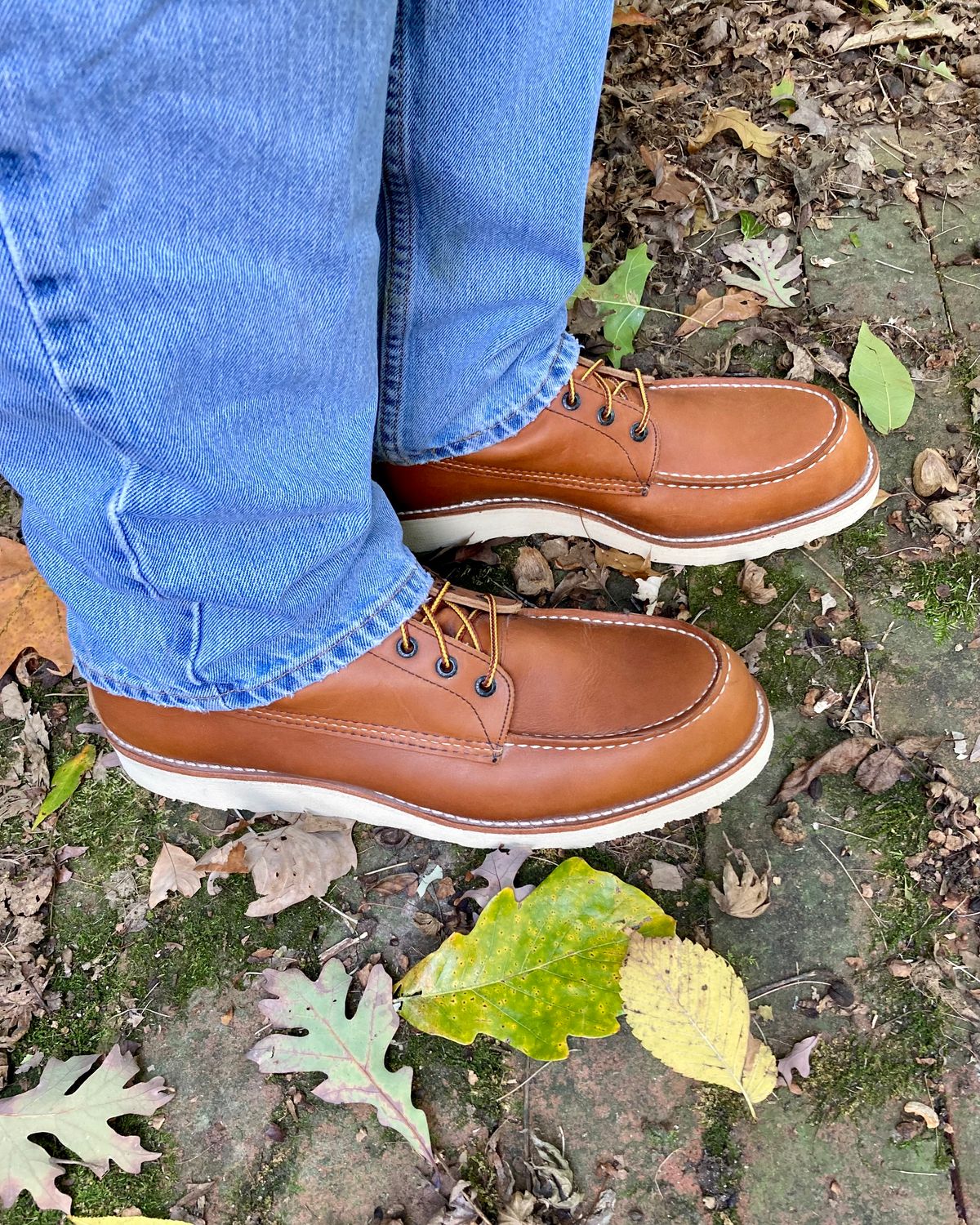 Photo by mreams99 on October 2, 2022 of the Red Wing 8-Inch Classic Moc in S.B. Foot Oro-Iginal.