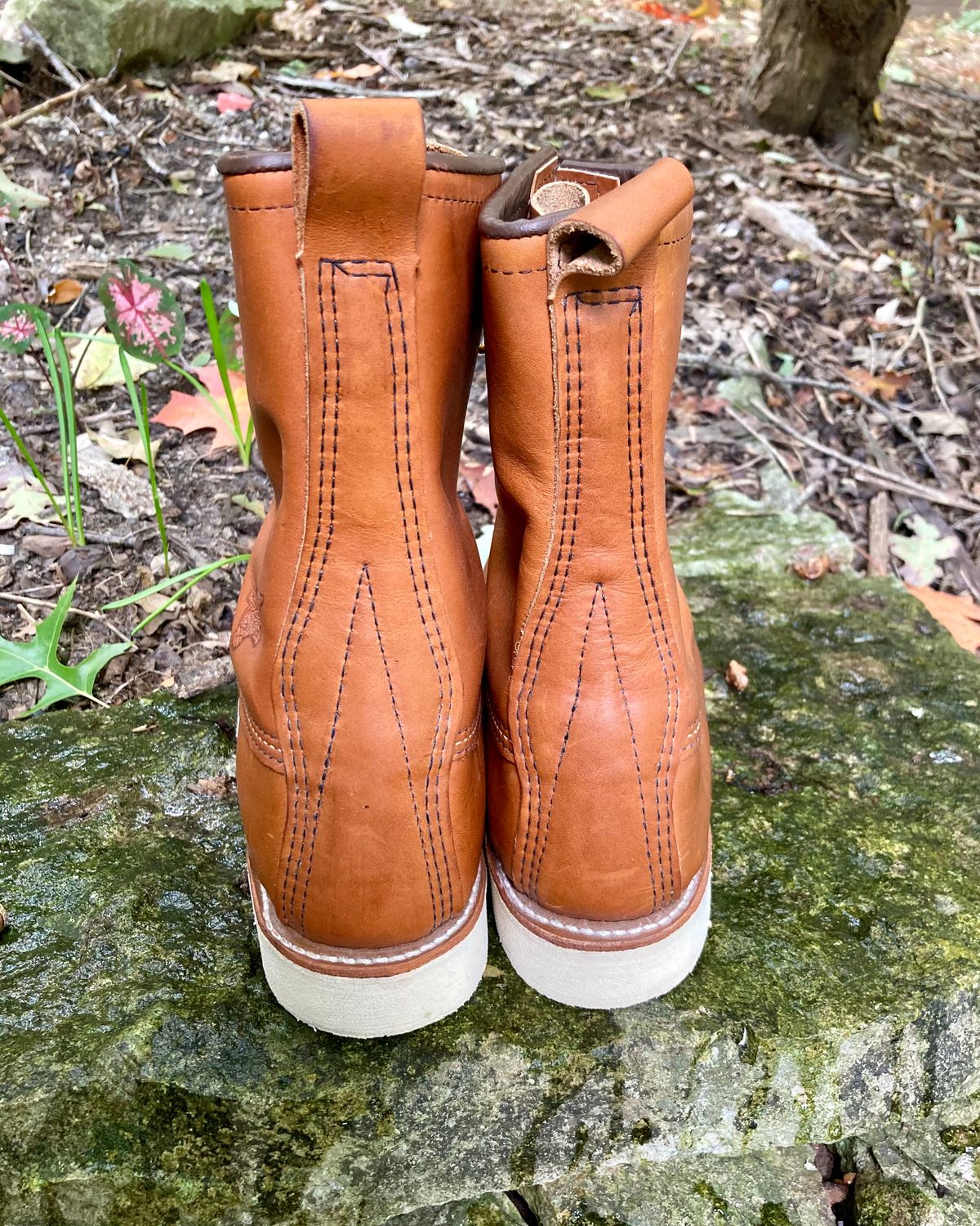 Photo by mreams99 on October 2, 2022 of the Red Wing 8-Inch Classic Moc in S.B. Foot Oro-Iginal.
