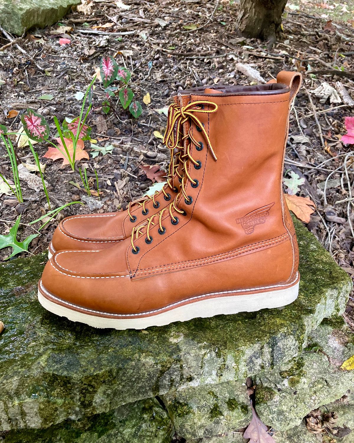 Photo by mreams99 on October 2, 2022 of the Red Wing 8-Inch Classic Moc in S.B. Foot Oro-Iginal.